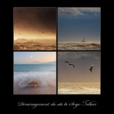 Serge Tollari