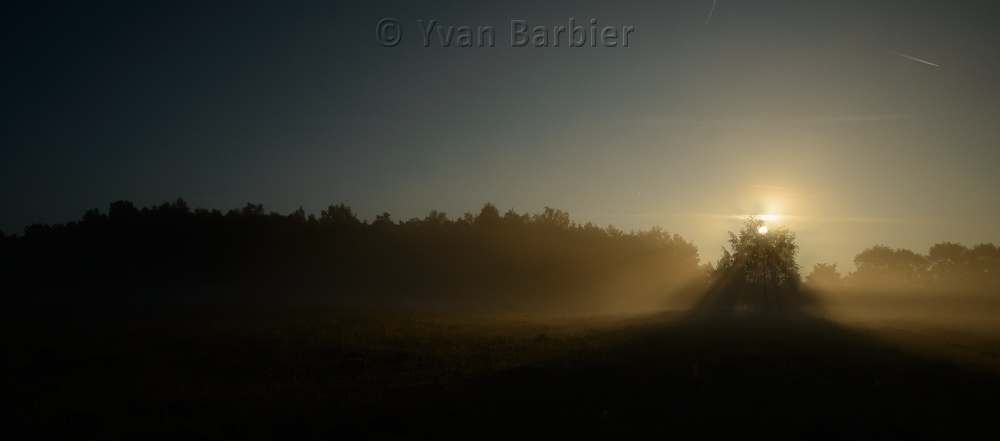 Paysage matinal
